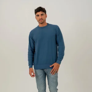 Sweater Totoral La Argentina Hombre Azul - Imagen 1